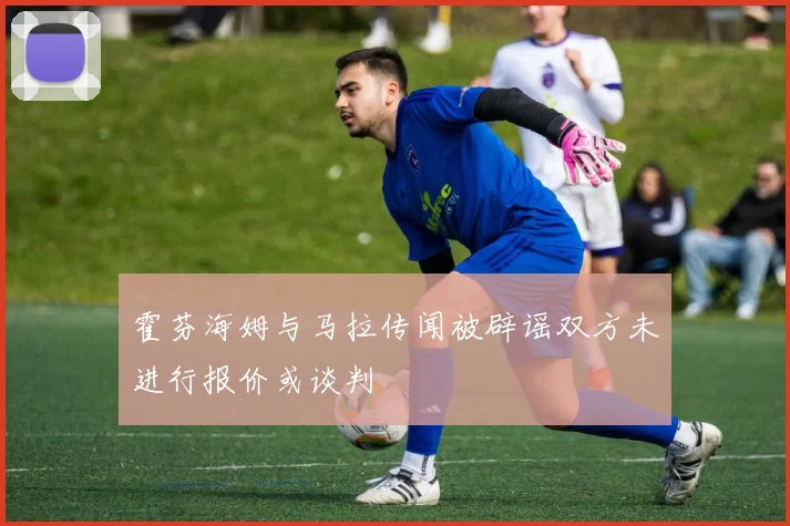 霍芬海姆与马拉传闻被辟谣双方未进行报价或谈判